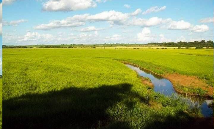 #111 - Fazenda para Venda em São Borja - RS