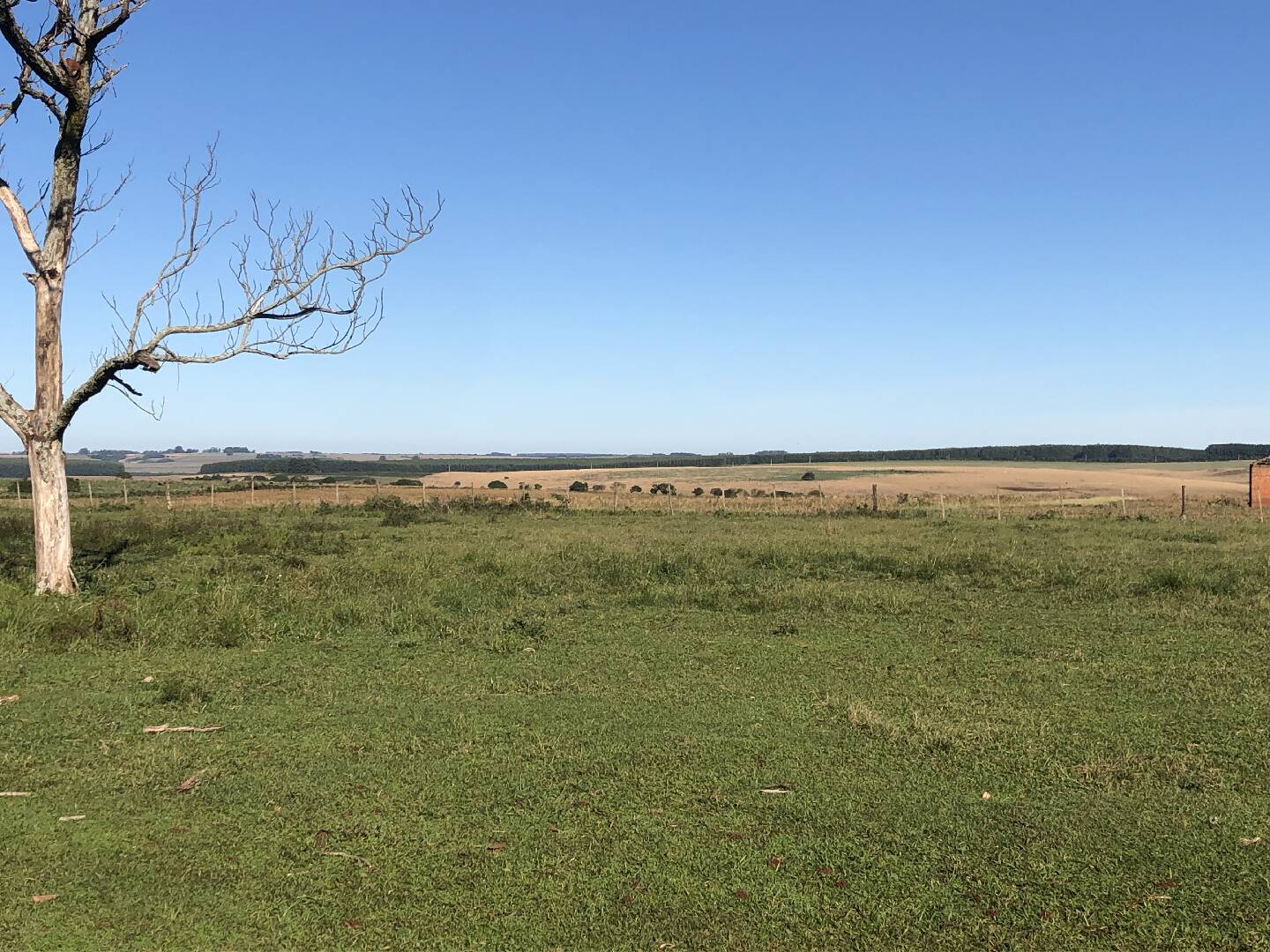 #126 - Fazenda para Venda em Itaqui - RS