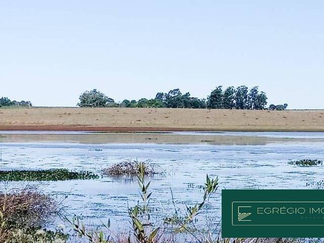 #111 - Fazenda para Venda em São Borja - RS - 3