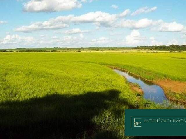 #111 - Fazenda para Venda em São Borja - RS - 1