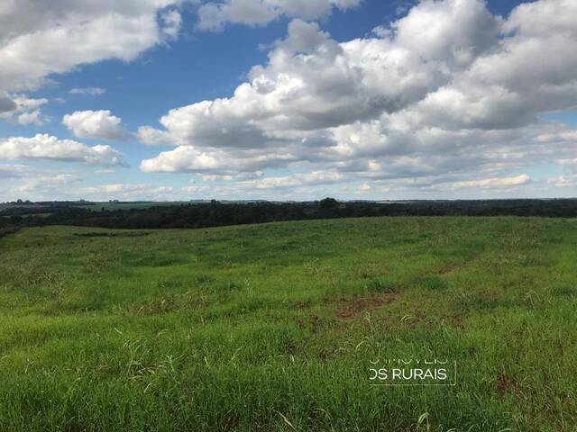 #121 - Fazenda para Venda em Bossoroca - RS