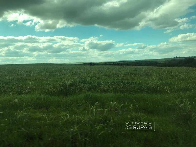 #121 - Fazenda para Venda em Bossoroca - RS - 3