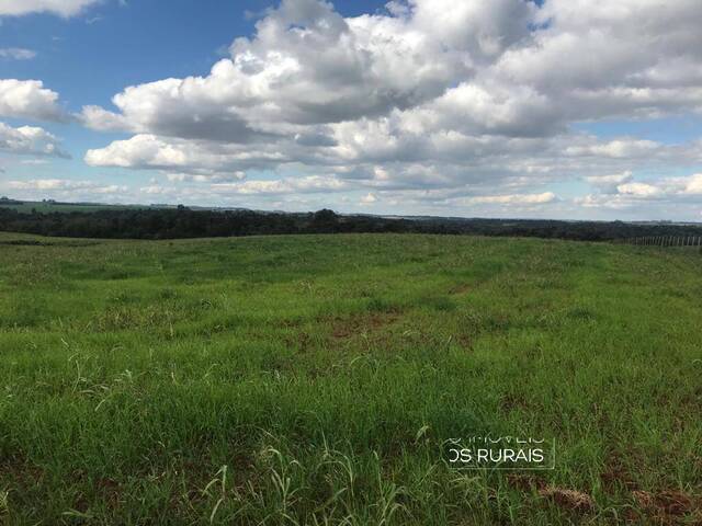 #121 - Fazenda para Venda em Bossoroca - RS - 1