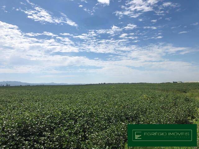 #142 - Fazenda para Venda em Venâncio Aires - RS - 3